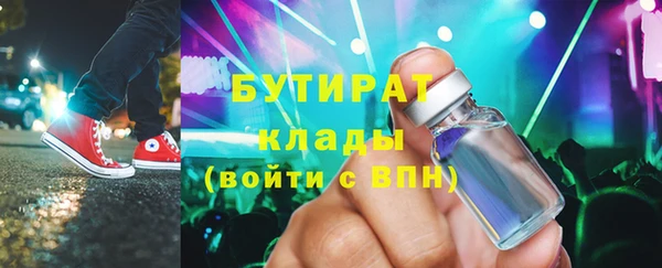 прущие грибы Ельня