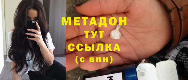 прущие грибы Ельня