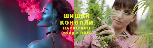 прущие грибы Ельня