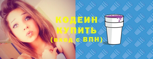прущие грибы Ельня