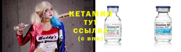 прущие грибы Ельня