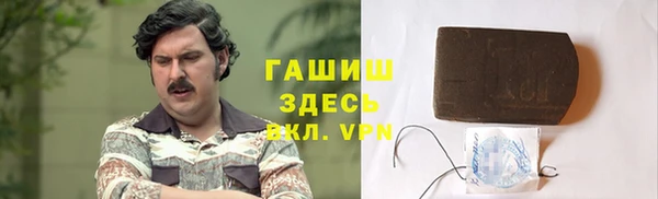 прущие грибы Ельня