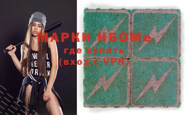 прущие грибы Ельня