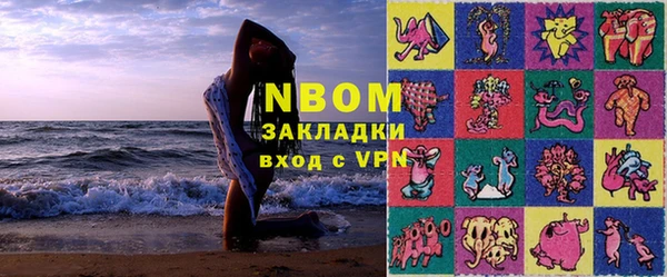 прущие грибы Ельня