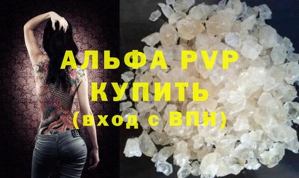 прущие грибы Ельня