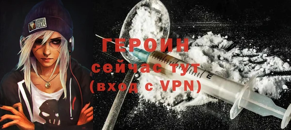 прущие грибы Ельня