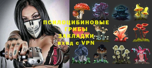 прущие грибы Ельня