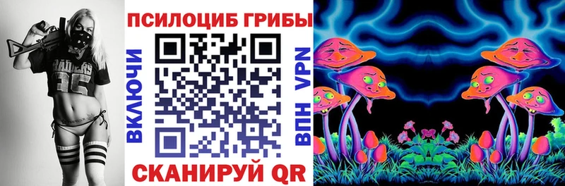 Галлюциногенные грибы Psilocybe  Купить  Собинка 