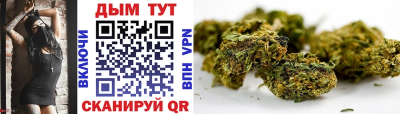 Купить где Собинка Каннабис индика